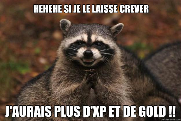 Hehehe si je le laisse crever  J'aurais plus d'xp et de gold !!  Evil Plotting Raccoon