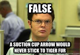 FALSE A suction cup arrow would never stick to tiger fur  Dwight False