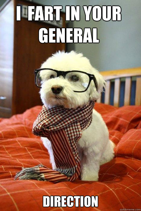 I  fart in your general direction  Direction  Hipster Dog