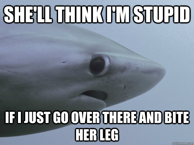 She'll think I'm stupid if I just go over there and bite her leg  Shy Shark