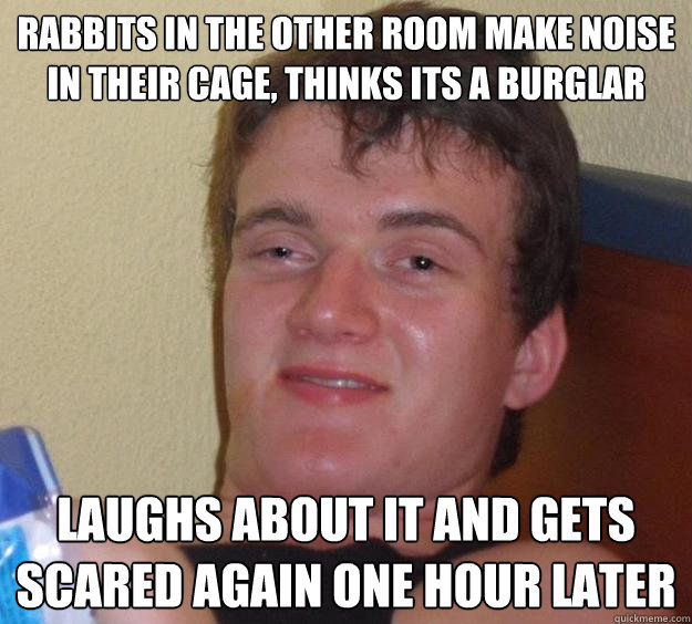 rabbits in the other room make noise in their cage, thinks its a burglar laughs about it and gets scared again one hour later  10 Guy