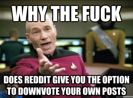 Why the fuck does reddit give you the option to downvote your own posts  Annoyed Picard HD