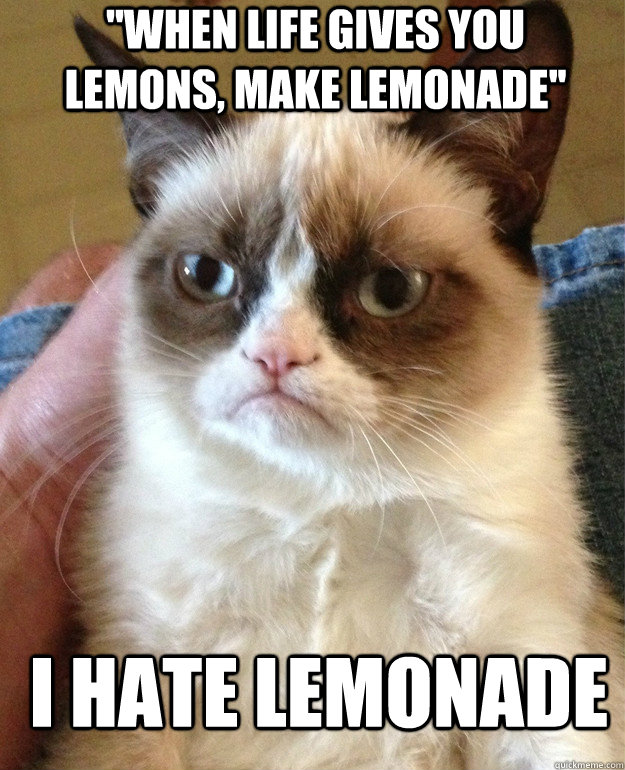 ''When life gives you lemons, make lemonade'' I hate lemonade  Grumpy Cat