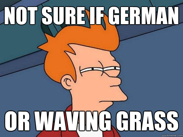 Not sure if German Or waving grass  Futurama Fry