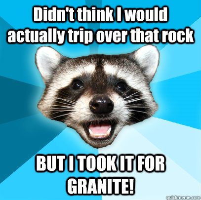 Didn't think I would actually trip over that rock BUT I TOOK IT FOR GRANITE! - Didn't think I would actually trip over that rock BUT I TOOK IT FOR GRANITE!  Lame Pun Coon