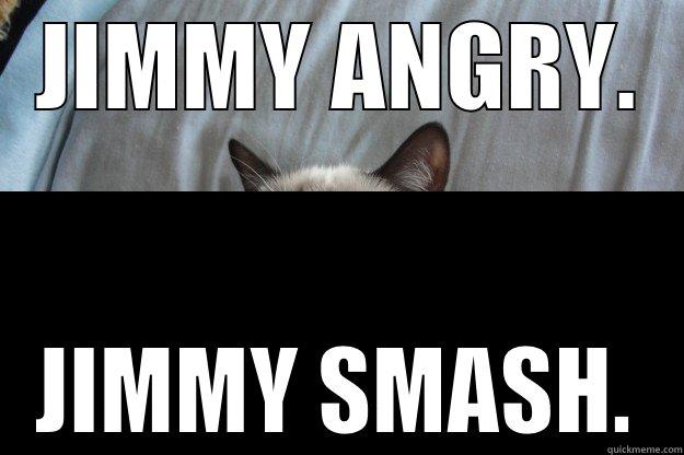 JIMMY ANGRY. - JIMMY ANGRY. JIMMY SMASH. Grumpy Cat