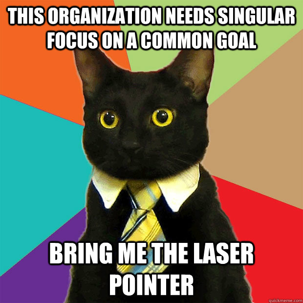 This organization needs singular focus on a common goal bring me the laser pointer  Business Cat