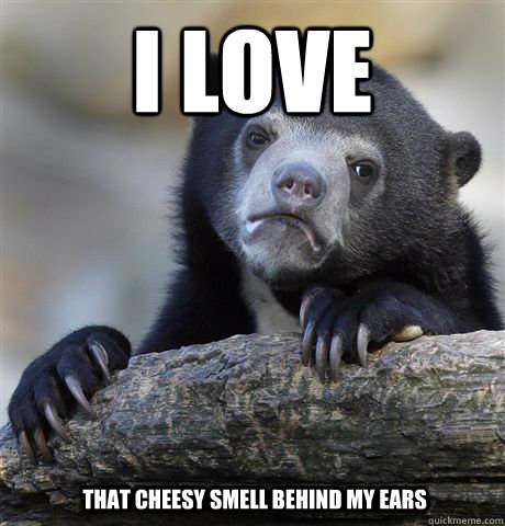 I love  that cheesy smell behind my ears  Confession Bear