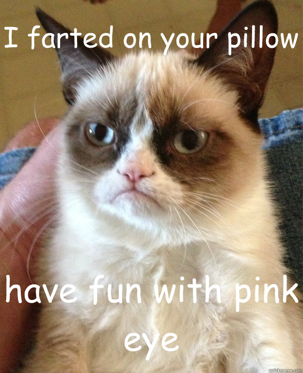 I farted on your pillow have fun with pink eye  Grumpy Cat