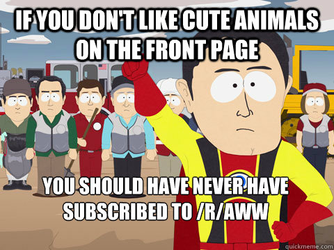 If you don't like cute animals on the front page you should have never have subscribed to /r/aww  Captain Hindsight