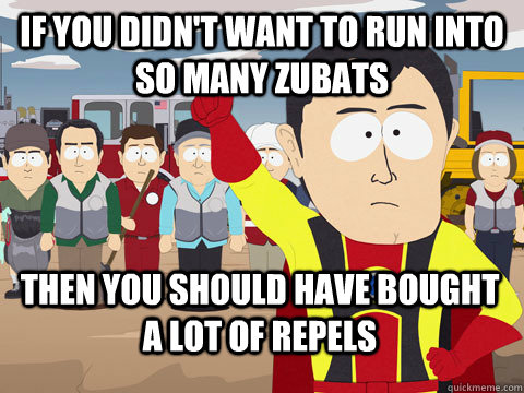 if you didn't want to run into so many zubats then you should have bought a lot of repels  Captain Hindsight