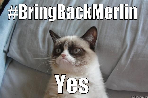 #BRINGBACKMERLIN YES Grumpy Cat