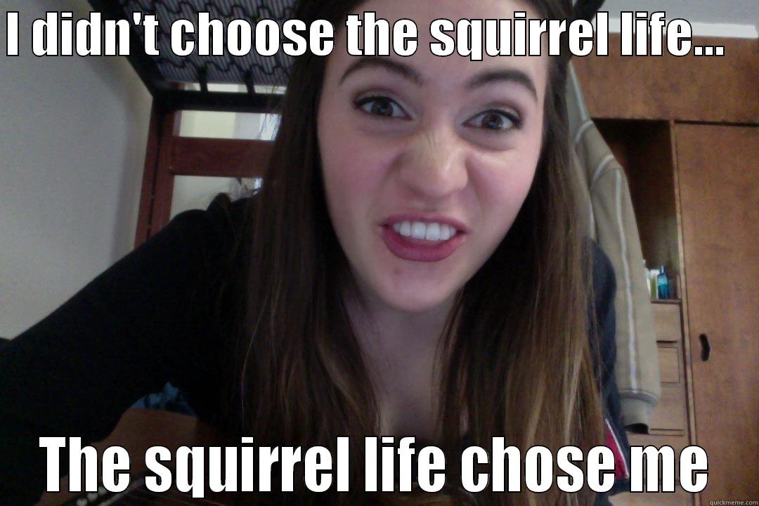 Squirrel Life - I DIDN'T CHOOSE THE SQUIRREL LIFE...    THE SQUIRREL LIFE CHOSE ME Misc