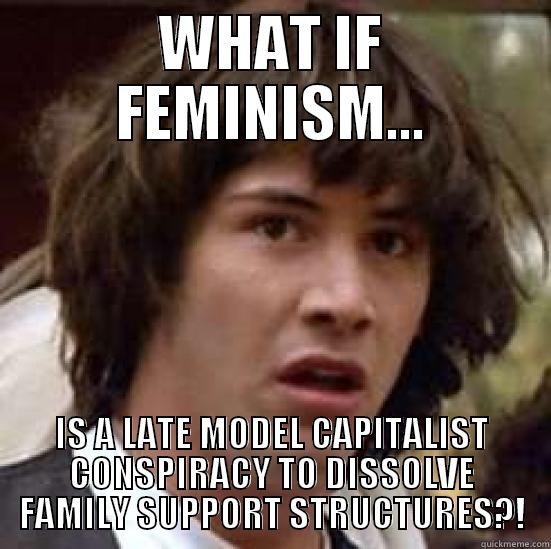 WHAT IF FEMINISM... IS A LATE MODEL CAPITALIST CONSPIRACY TO DISSOLVE FAMILY SUPPORT STRUCTURES?! conspiracy keanu