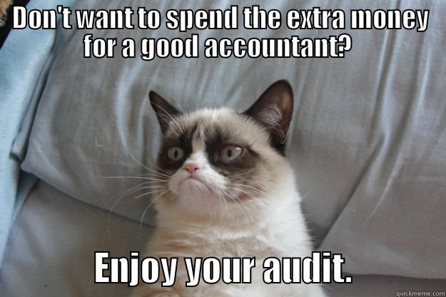 DON'T WANT TO SPEND THE EXTRA MONEY FOR A GOOD ACCOUNTANT?                ENJOY YOUR AUDIT.             Grumpy Cat