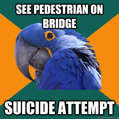 See pedestrian on bridge Suicide attempt  Paranoid Parrot