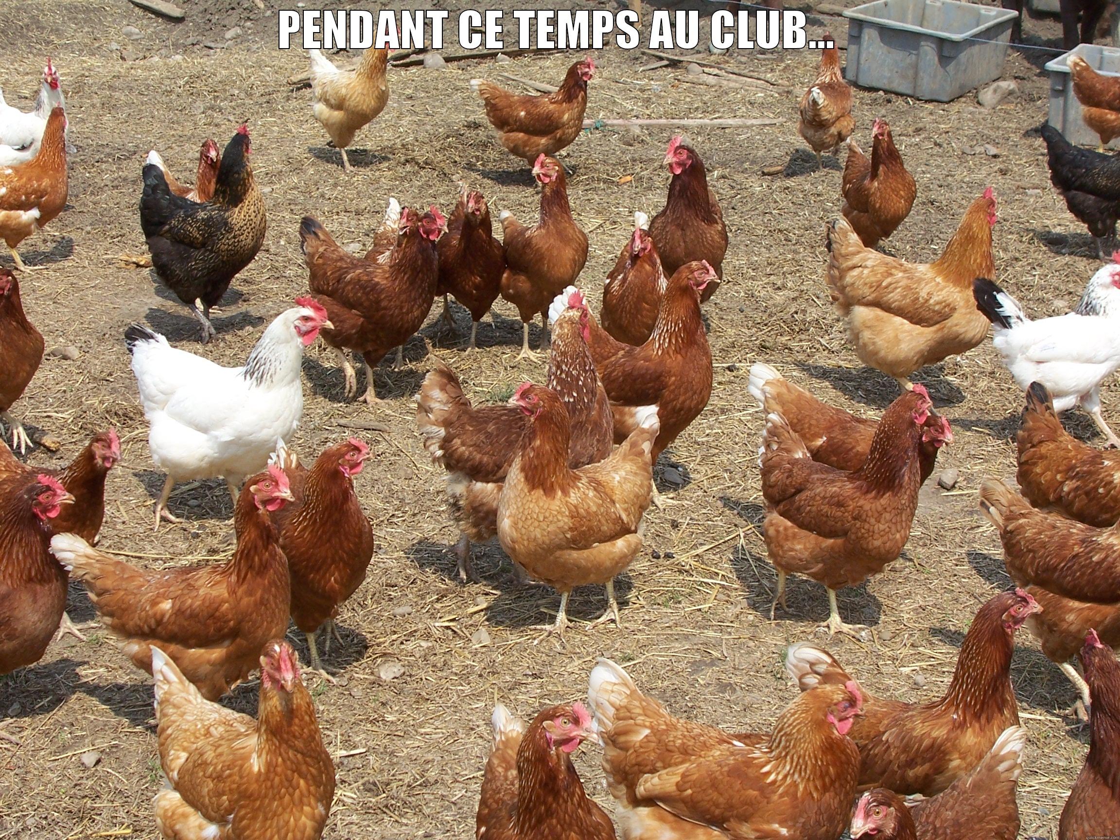 CHICKEN CLUB - PENDANT CE TEMPS AU CLUB...  Misc