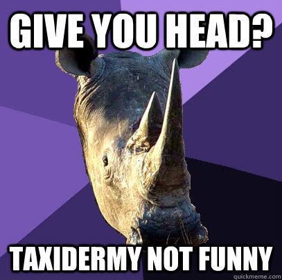 give you head? taxidermy not funny  Sexually Oblivious Rhino