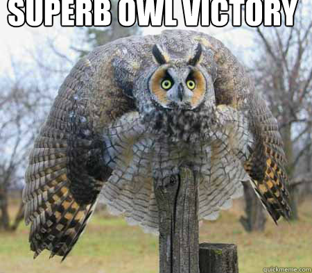 SUPERB OWL VICTORY  - SUPERB OWL VICTORY   Battle owl