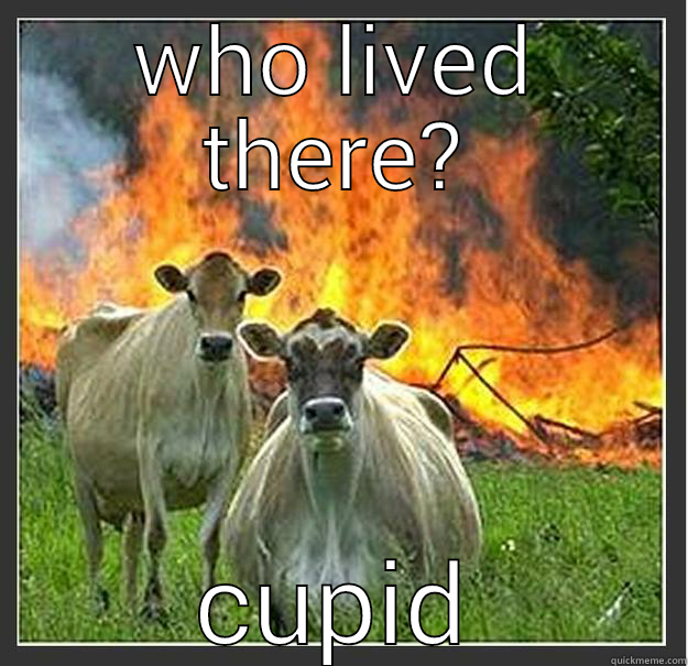 women be like - WHO LIVED THERE? CUPID Evil cows