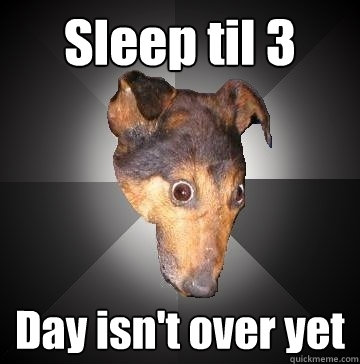 Sleep til 3 Day isn't over yet  Depression Dog