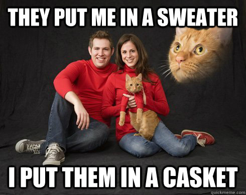 They put me in a sweater I put them in a casket  Murder Cat