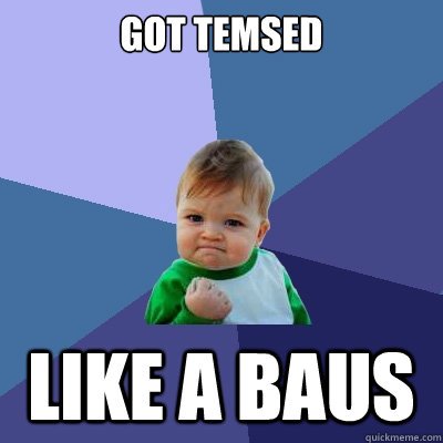 Got Temsed like a baus  Success Kid