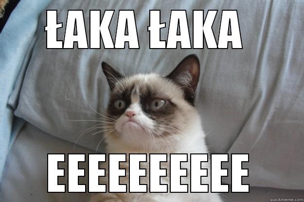 ŁAKA ŁAKA  EEEEEEEEEE Grumpy Cat