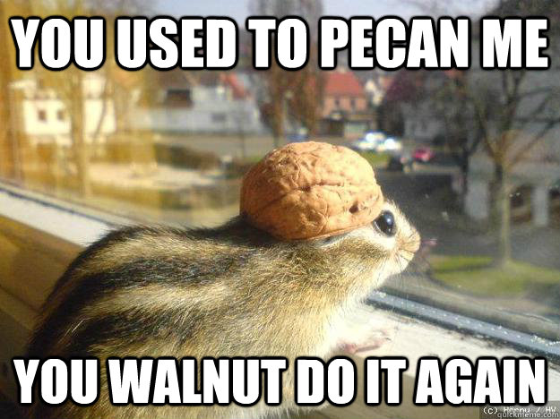 You used to pecan me You walnut do it again  Adventure Chipmunk