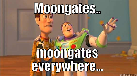               MOONGATES..                MOONGATES EVERYWHERE... Misc