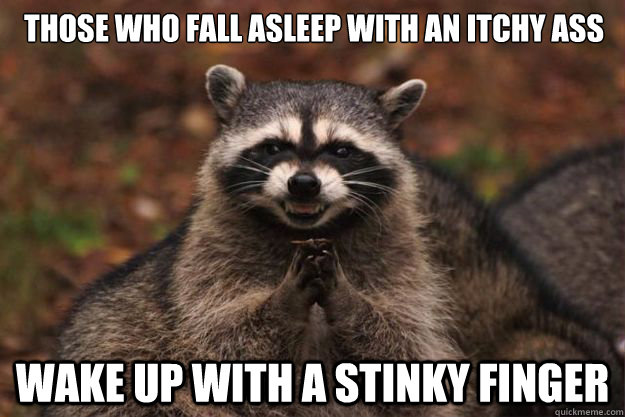 Those who fall asleep with an itchy ass wake up with a stinky finger  Evil Plotting Raccoon