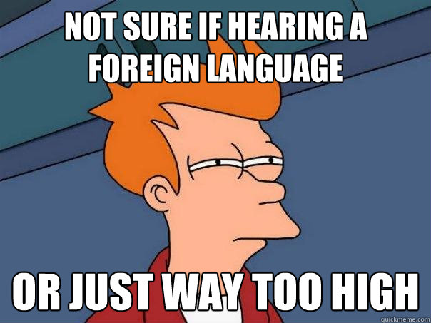 not sure if hearing a foreign language or just way too high  Futurama Fry