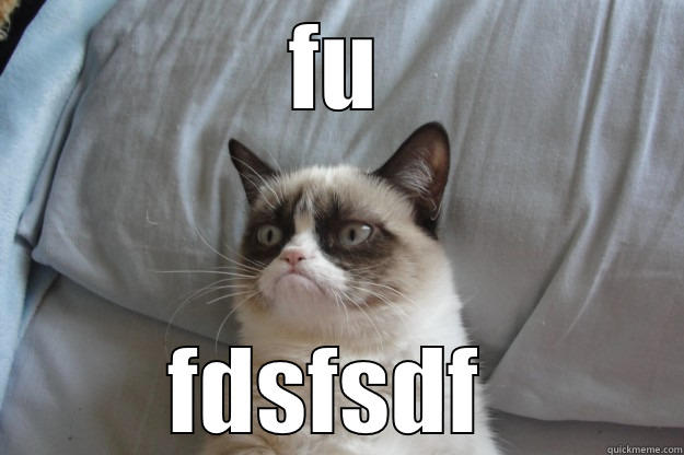 FU FDSFSDF  Grumpy Cat