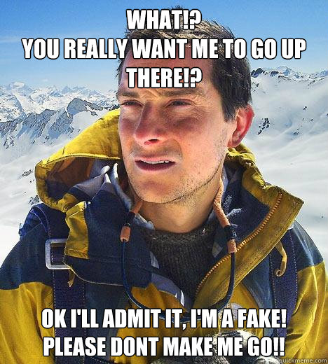 What!?
You really want me to go up there!? Ok I'll admit it, I'm a fake! PLease dont make me go!!  Bear Grylls