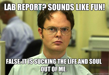 lab report? sounds like fun! False. It is sucking the life and soul out of me.  Dwight