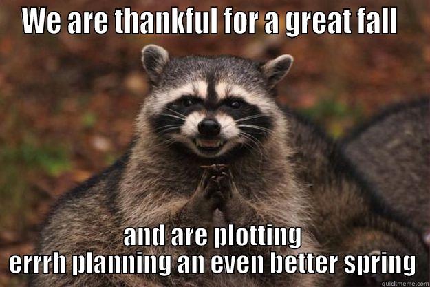 thankfulness racoon - WE ARE THANKFUL FOR A GREAT FALL  AND ARE PLOTTING ERRRH PLANNING AN EVEN BETTER SPRING Evil Plotting Raccoon