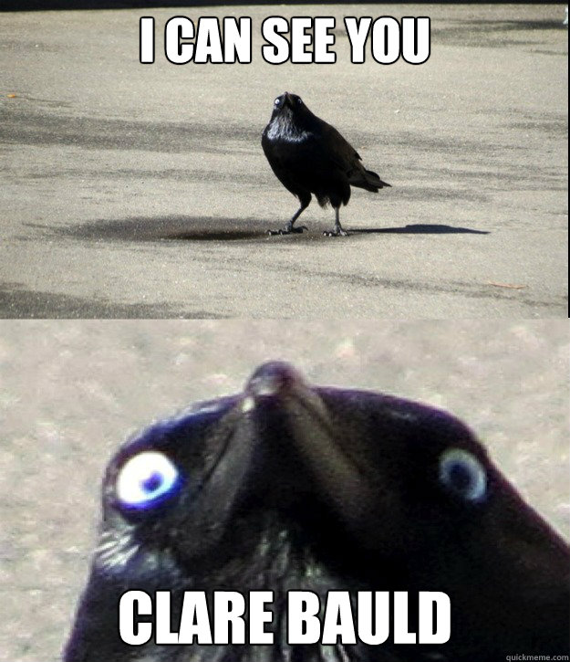 I CAN SEE YOU CLARE BAULD  Insanity Crow