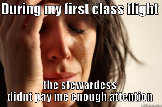 DURING MY FIRST CLASS FLIGHT  THE STEWARDESS DIDNT PAY ME ENOUGH ATTENTION First World Problems