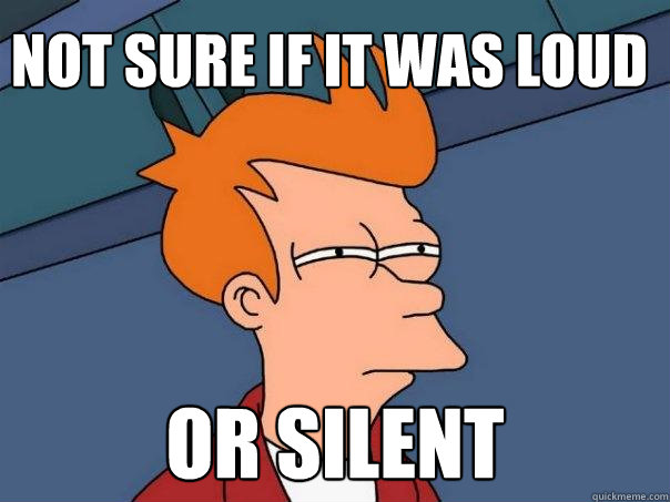 Not sure if it was loud  OR silent  Futurama Fry