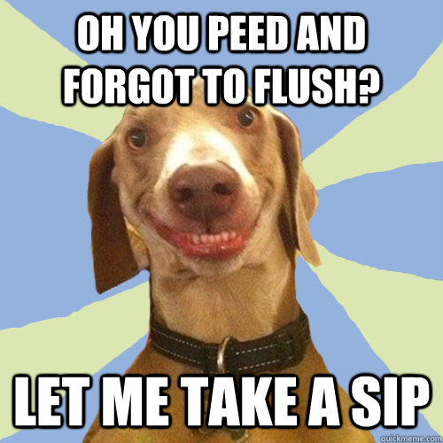 Oh you peed and forgot to flush? Let me take a sip  Disgusting Doggy