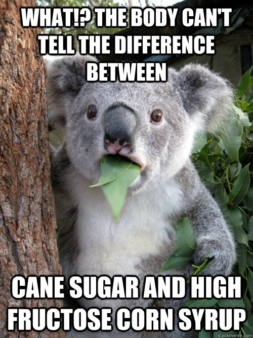 What!? The body can't tell the difference between Cane Sugar and High Fructose Corn SyrUp  koala bear