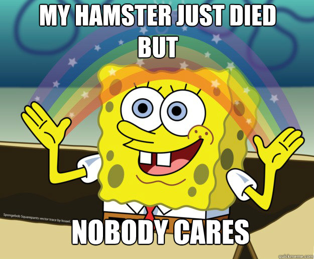 my hamster just died but Nobody cares  Nobody Cares