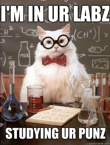 I'm in ur labz studying ur punz  Chemistry Cat