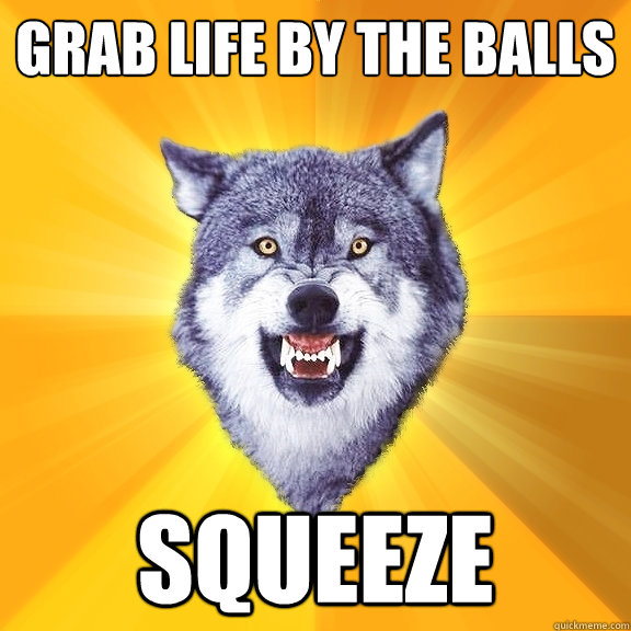 grab life by the balls squeeze - grab life by the balls squeeze  Courage Wolf