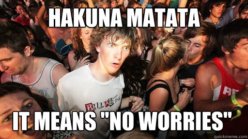 Hakuna Matata It means 