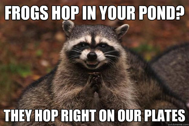 frogs hop in your pond? they hop right on our plates  Evil Plotting Raccoon