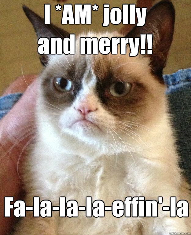 I *AM* jolly
and merry!! Fa-la-la-la-effin'-la  Grumpy Cat