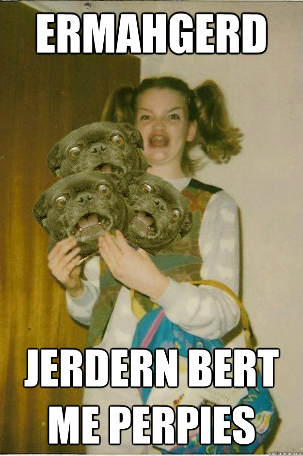 ermahgerd jerdern bert me perpies  ermahgerd dergs