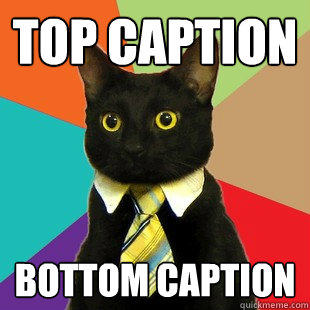 Top caption Bottom caption  Business Cat