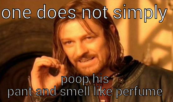  one does not simply poopand smell like perfume - ONE DOES NOT SIMPLY  POOP HIS PANT AND SMELL LIKE PERFUME Boromir